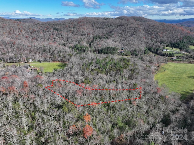 TRACT1 Dave Whitaker Rd, Horse Shoe, NC 28742