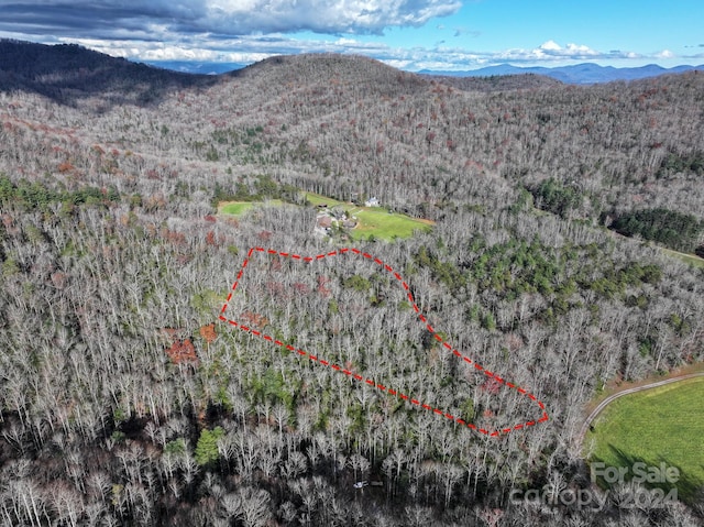 TRACT1 Dave Whitaker Rd, Horse Shoe, NC 28742