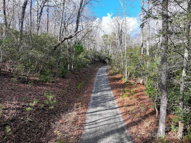 TRACT1 Dave Whitaker Rd, Horse Shoe, NC 28742