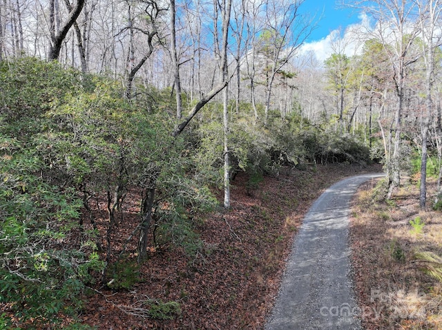 TRACT1 Dave Whitaker Rd, Horse Shoe, NC 28742