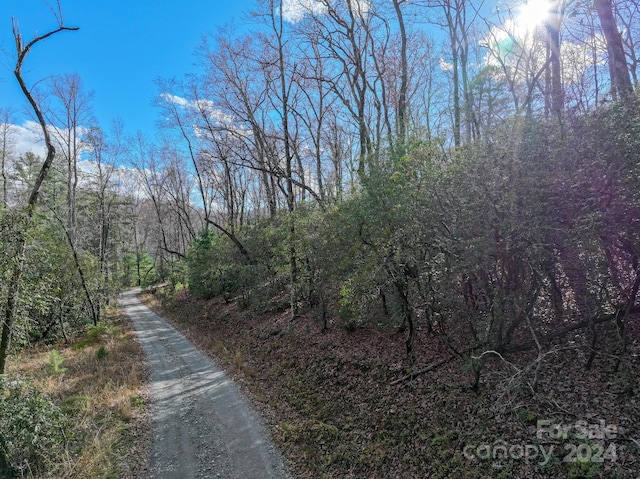 TRACT1 Dave Whitaker Rd, Horse Shoe, NC 28742
