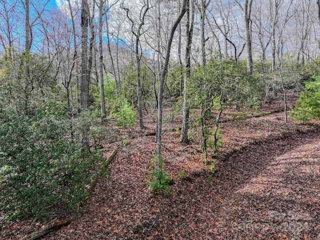 TRACT1 Dave Whitaker Rd, Horse Shoe, NC 28742
