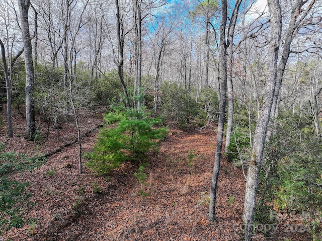 TRACT1 Dave Whitaker Rd, Horse Shoe, NC 28742