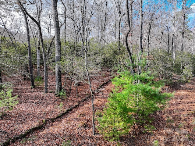 TRACT1 Dave Whitaker Rd, Horse Shoe, NC 28742