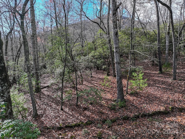 TRACT1 Dave Whitaker Rd, Horse Shoe, NC 28742