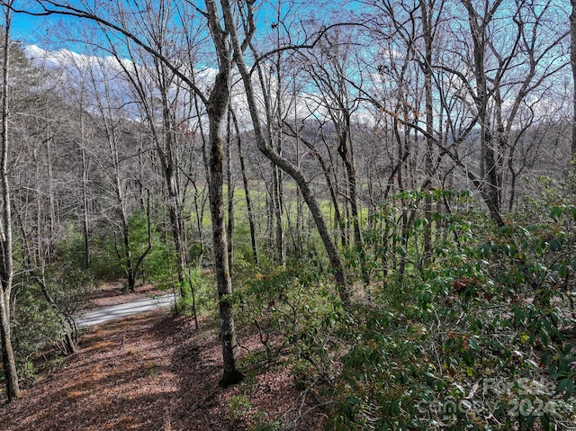TRACT1 Dave Whitaker Rd, Horse Shoe, NC 28742