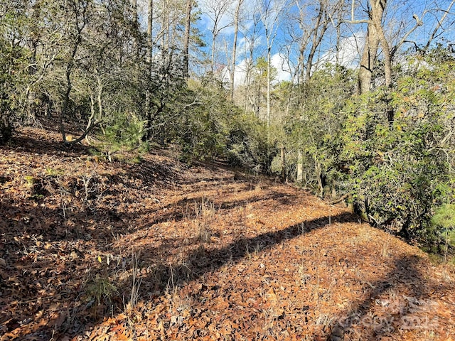 TRACT1 Dave Whitaker Rd, Horse Shoe, NC 28742