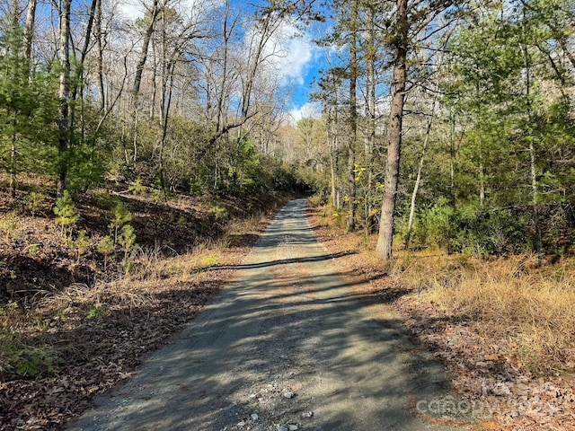 TRACT1 Dave Whitaker Rd, Horse Shoe, NC 28742