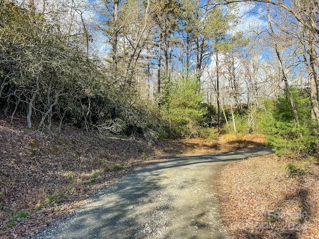 TRACT1 Dave Whitaker Rd, Horse Shoe, NC 28742