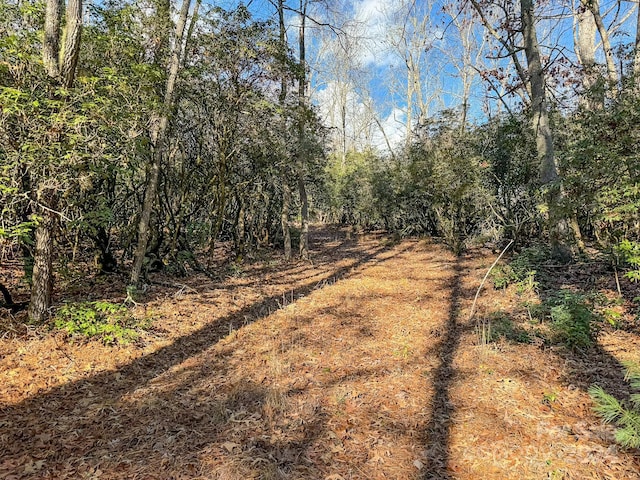 TRACT1 Dave Whitaker Rd, Horse Shoe, NC 28742