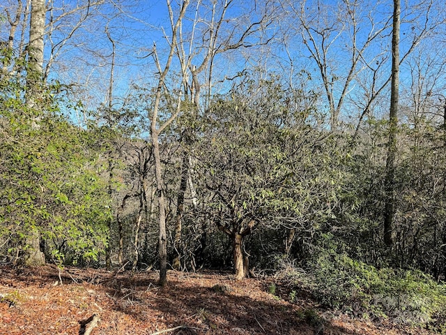 TRACT1 Dave Whitaker Rd, Horse Shoe, NC 28742