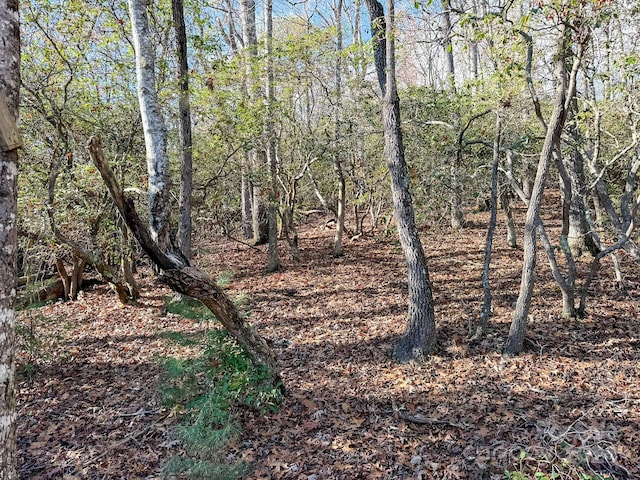 TRACT1 Dave Whitaker Rd, Horse Shoe, NC 28742