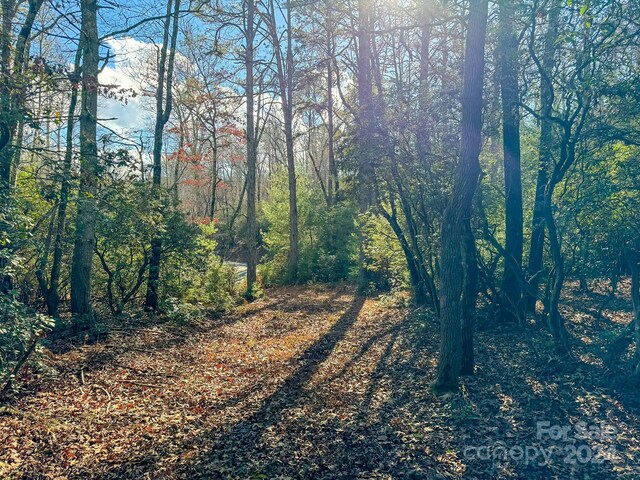 TRACT1 Dave Whitaker Rd, Horse Shoe, NC 28742