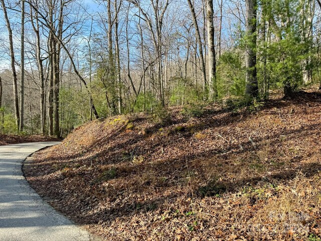 TRACT1 Dave Whitaker Rd, Horse Shoe, NC 28742