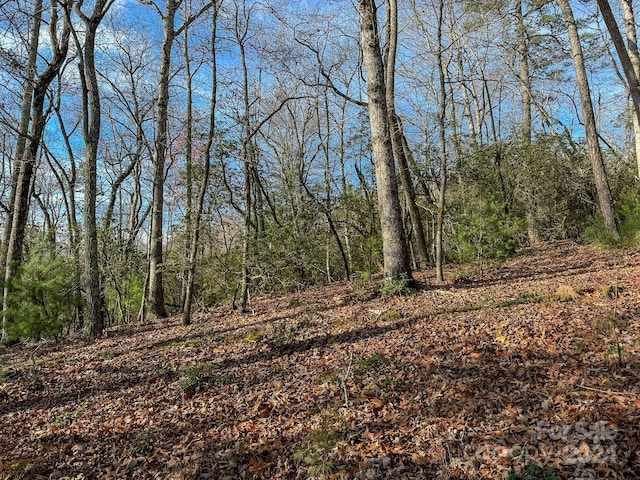 TRACT1 Dave Whitaker Rd, Horse Shoe, NC 28742