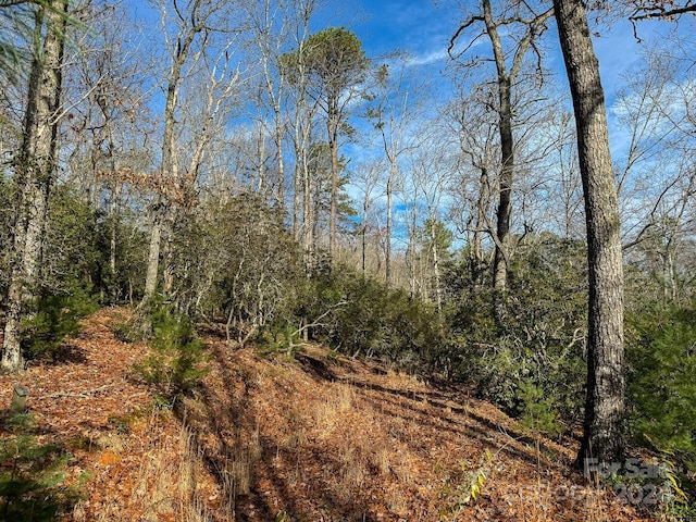 TRACT1 Dave Whitaker Rd, Horse Shoe, NC 28742