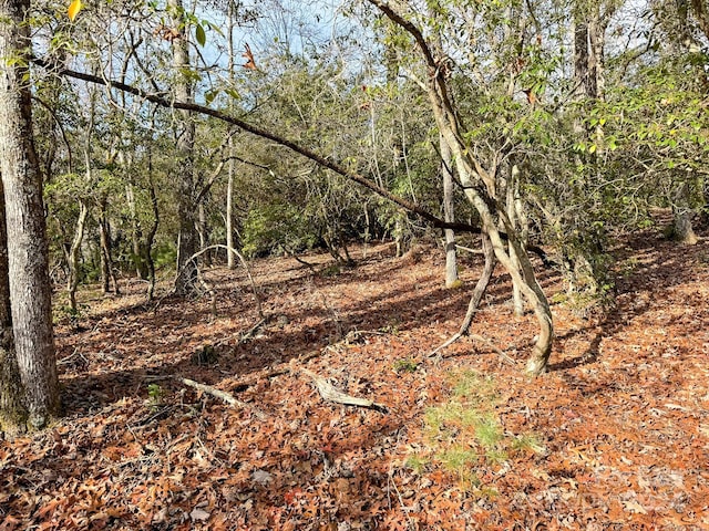 TRACT1 Dave Whitaker Rd, Horse Shoe, NC 28742