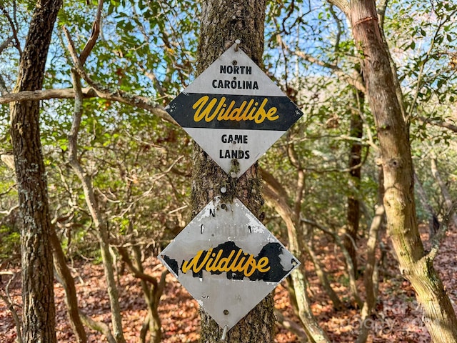 TRACT1 Dave Whitaker Rd, Horse Shoe, NC 28742