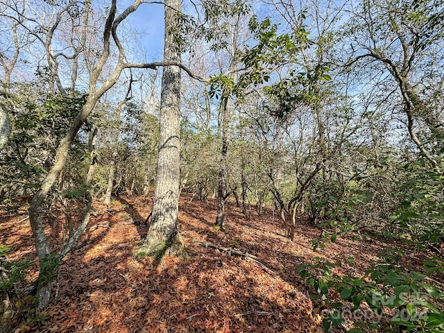 TRACT1 Dave Whitaker Rd, Horse Shoe, NC 28742
