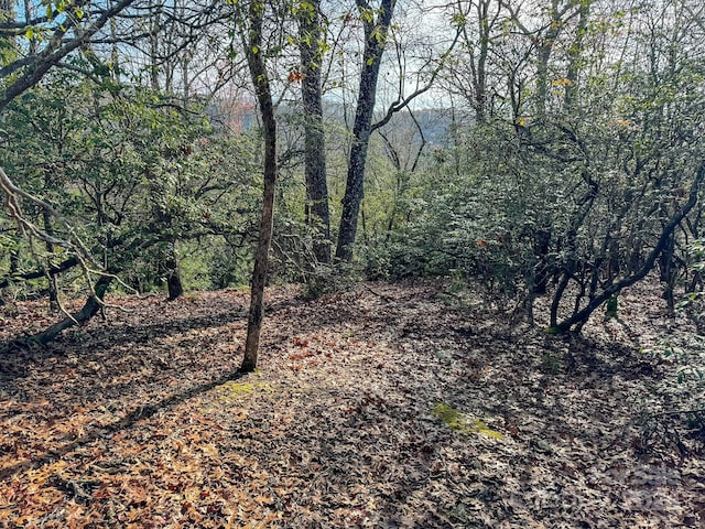 TRACT1 Dave Whitaker Rd, Horse Shoe, NC 28742