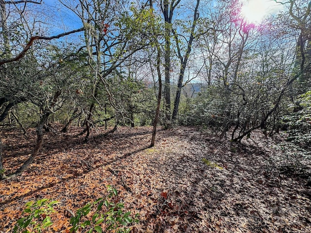 TRACT1 Dave Whitaker Rd, Horse Shoe, NC 28742