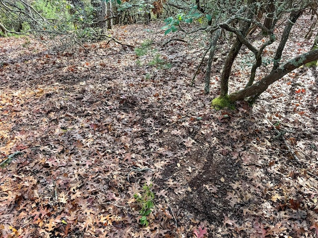 TRACT1 Dave Whitaker Rd, Horse Shoe, NC 28742