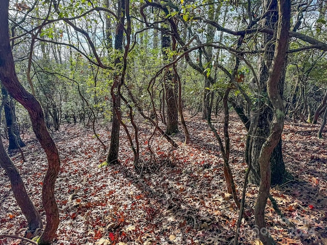 TRACT1 Dave Whitaker Rd, Horse Shoe, NC 28742