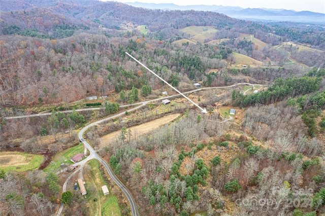 birds eye view of property featuring a mountain view