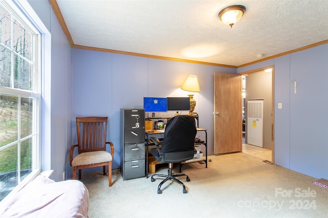 carpeted home office with ornamental molding, a textured ceiling, and a wealth of natural light