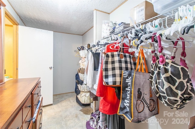 view of spacious closet