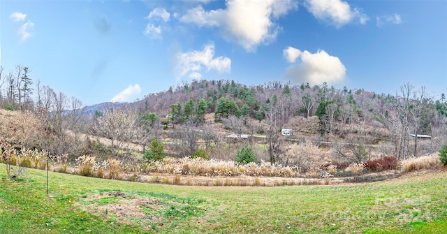 property view of mountains