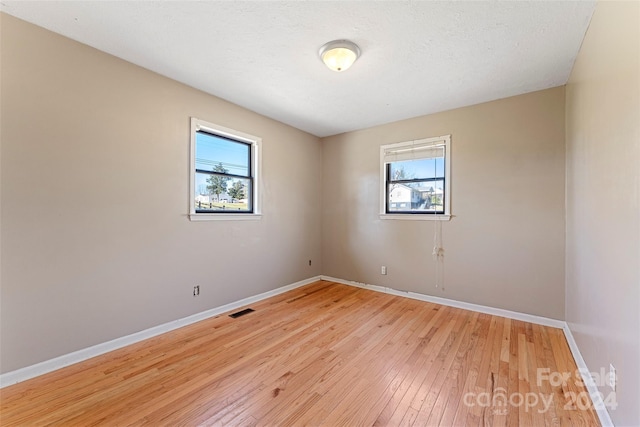 spare room featuring light wood-type flooring and a wealth of natural light