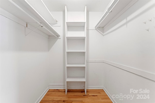 spacious closet featuring wood-type flooring