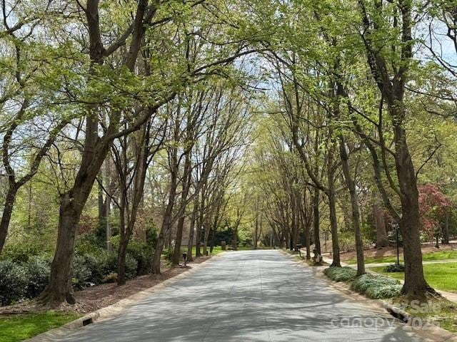 view of home's community