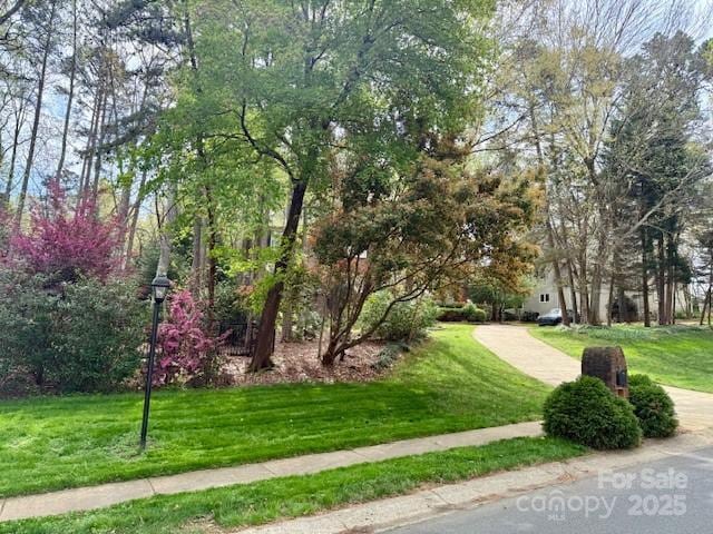 surrounding community with a yard