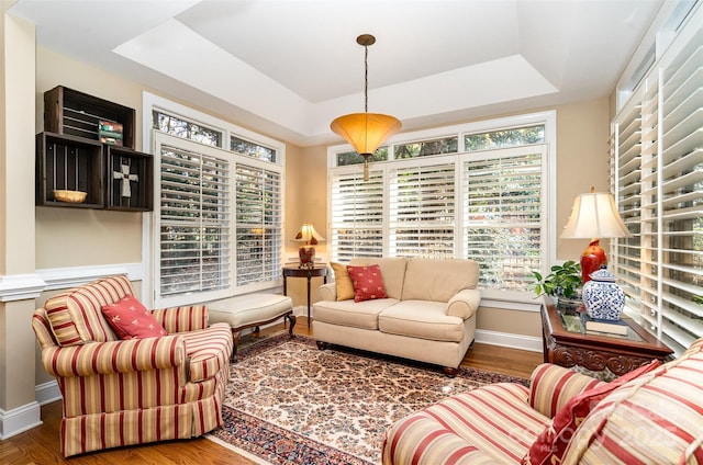living area featuring a tray ceiling, baseboards, and wood finished floors