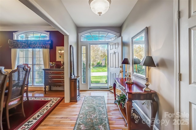 foyer with hardwood / wood-style flooring