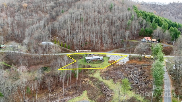 3059 NC-261 Hwy, Bakersville, NC 28705 - photo 3