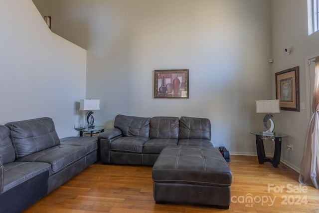 living room featuring hardwood / wood-style floors and a towering ceiling