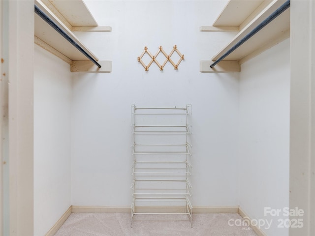 spacious closet with carpet