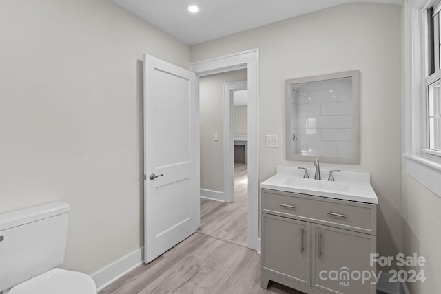 bathroom with wood-type flooring, vanity, and toilet