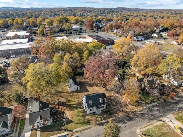 bird's eye view