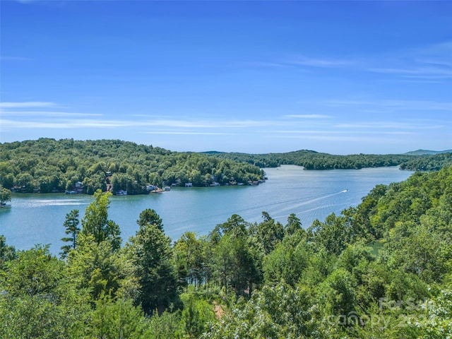 0 Holmstead Dr Lot 31, Lake Lure NC, 28746 land for sale