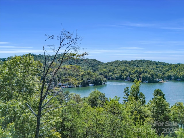 Listing photo 2 for 0 Holmstead Dr Lot 31, Lake Lure NC 28746