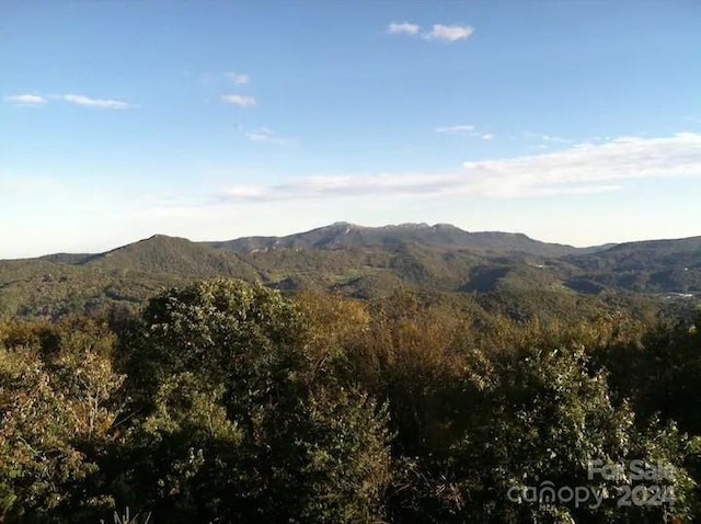 view of mountain feature