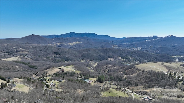 510 Elderberry Ridge Rd Unit E101, Banner Elk, NC 28604 - view of mountain background