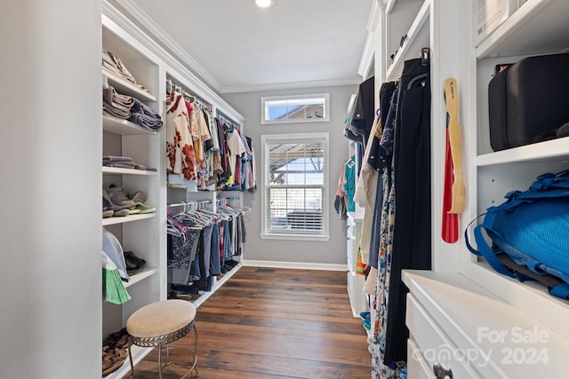 walk in closet featuring dark hardwood / wood-style flooring