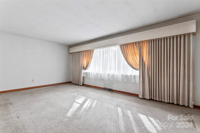 spare room featuring light carpet