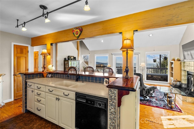 kitchen featuring dishwasher, sink, a wealth of natural light, and dark wood-type flooring