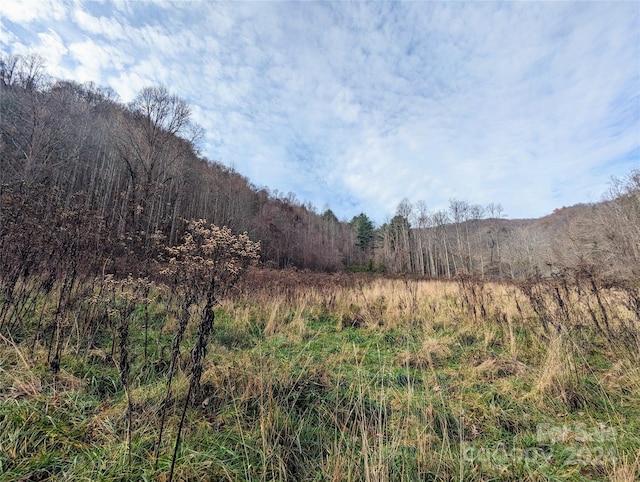 99999 Upper Paw Paw Rd, Marshall NC, 28753 land for sale